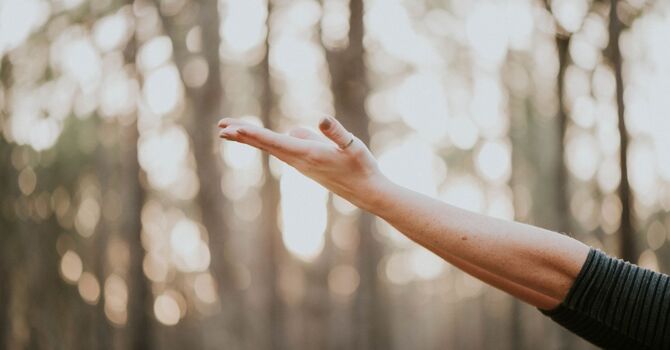 Beginner Pilates in Abbotsford 